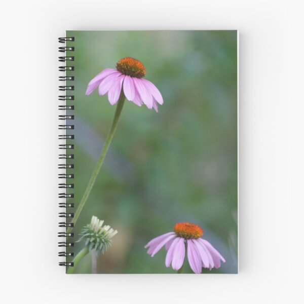 Item preview, Coneflower designed and sold by TxGimGim.