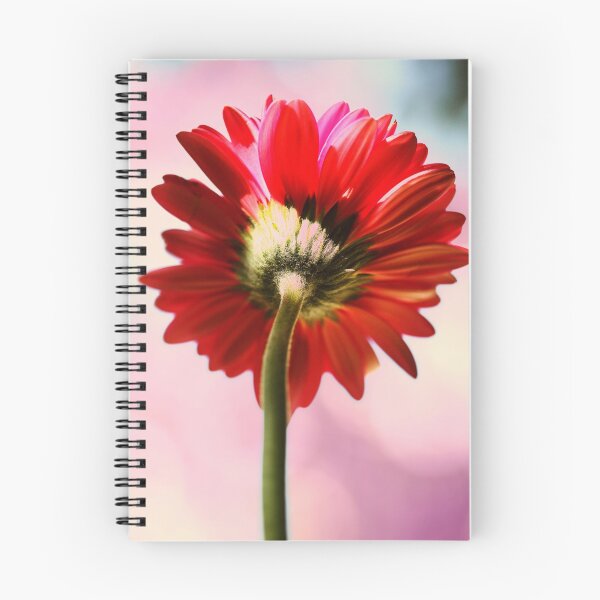 Item preview, Gerbera designed and sold by Cristina Rossi.