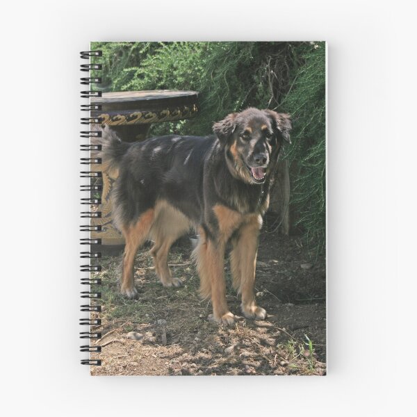 Item preview, Penny designed and sold by Laurie Search Fine Art Photography.