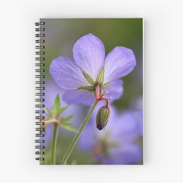 Item preview, Beauty and the Bud designed and sold by Kelly Cavanaugh.