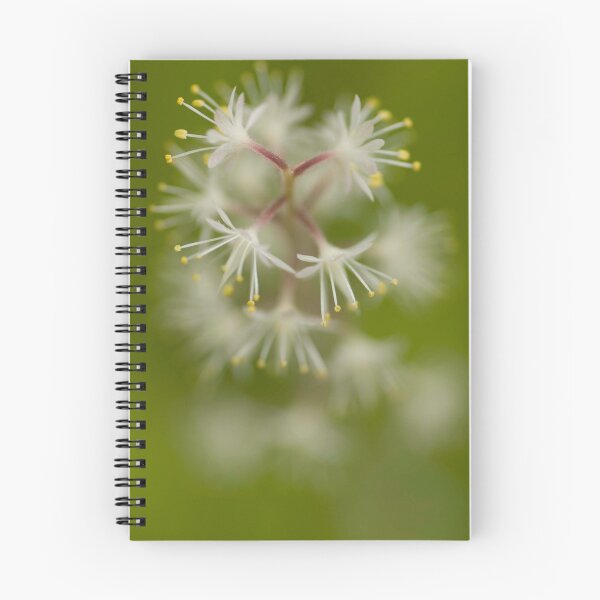 Item preview, Tiarella Whorl designed and sold by Beth Mason.