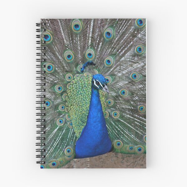 Item preview, Pretty pretty peacock designed and sold by Coreycw.