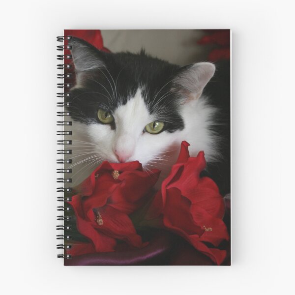 Item preview, Thoughtful designed and sold by Lori Walton.