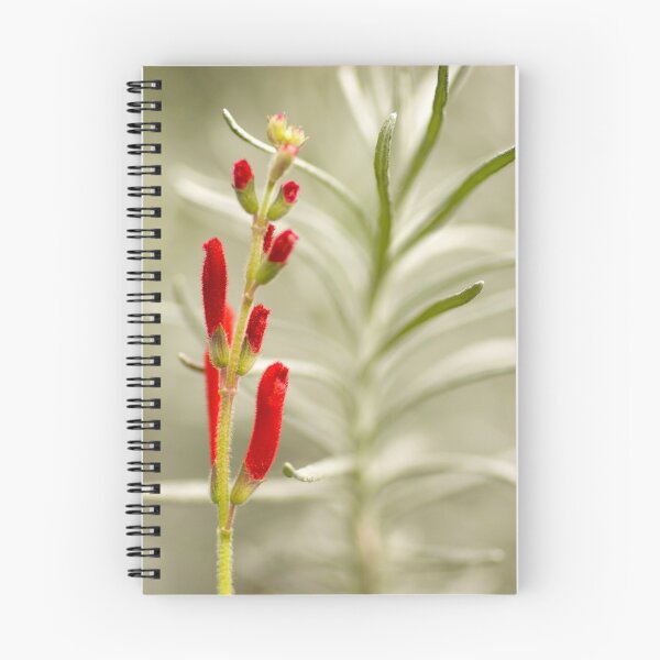 Item preview, Salvia elegante designed and sold by Beth Mason.