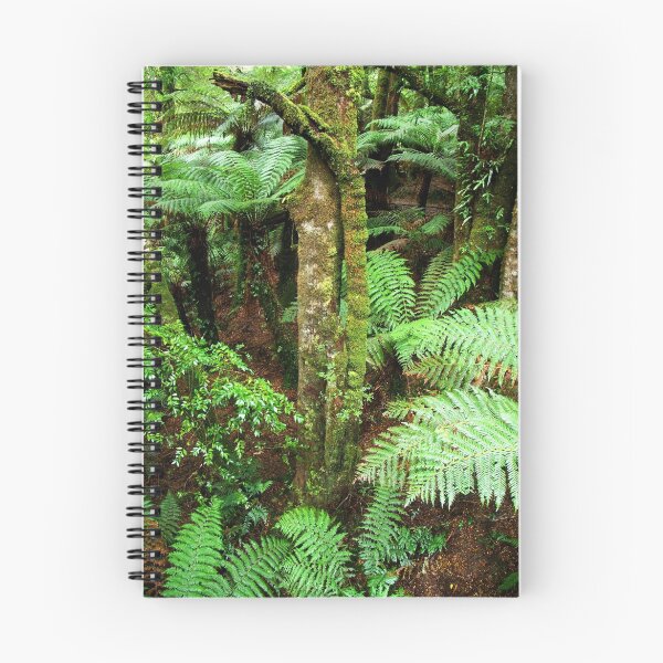 Item preview, Ferns in Tara Bulga National Park, Gippsland, Victoria designed and sold by Bev Pascoe.
