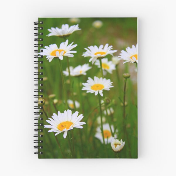 Item preview, Upsey Daisy designed and sold by Debbie Roelle.
