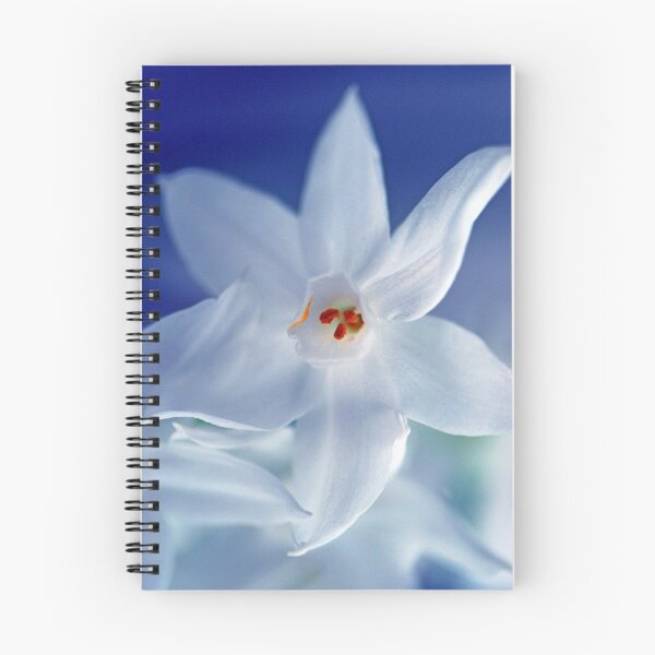 Item preview, Icy designed and sold by Extraordinary Light.