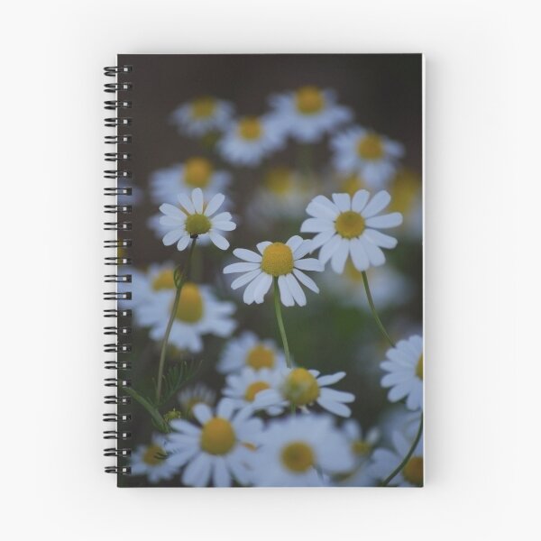 Item preview, Orton Daisies designed and sold by Rowan  Lewgalon.
