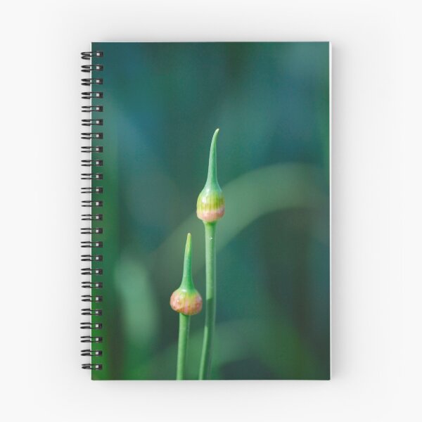Item preview, Pointy designed and sold by Rowan  Lewgalon.