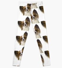 papillon Leggings
