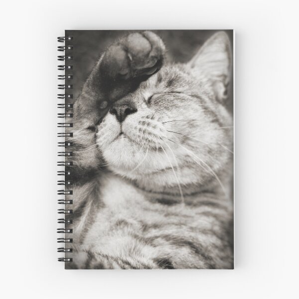 Item preview, Not Another Photo... designed and sold by Alyssa Schroeder.
