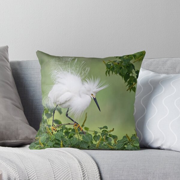Item preview, Snowy Egret designed and sold by Bonnie T.  Barry.