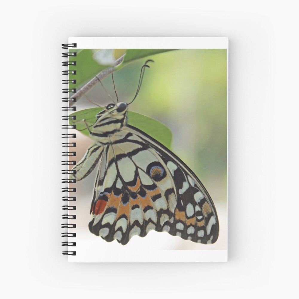 Cahier à spirale « Donnez des ailes à vos projets!»