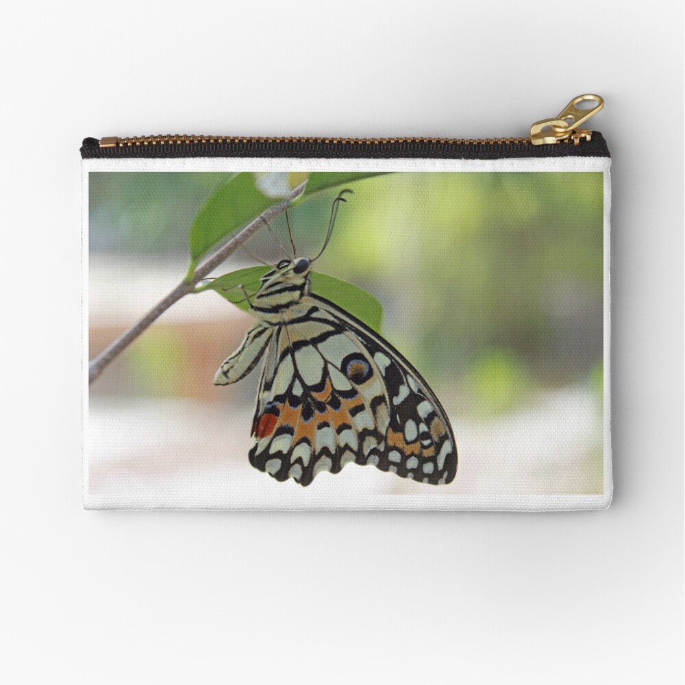 Pochette « Donnez des ailes à vos projets!»