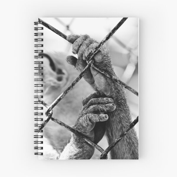 Item preview, helpless designed and sold by gompo.