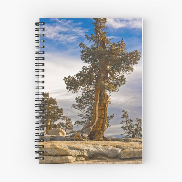 Item preview, Survivor designed and sold by photosbyflood.
