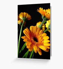 yellow gerbera Greeting Card