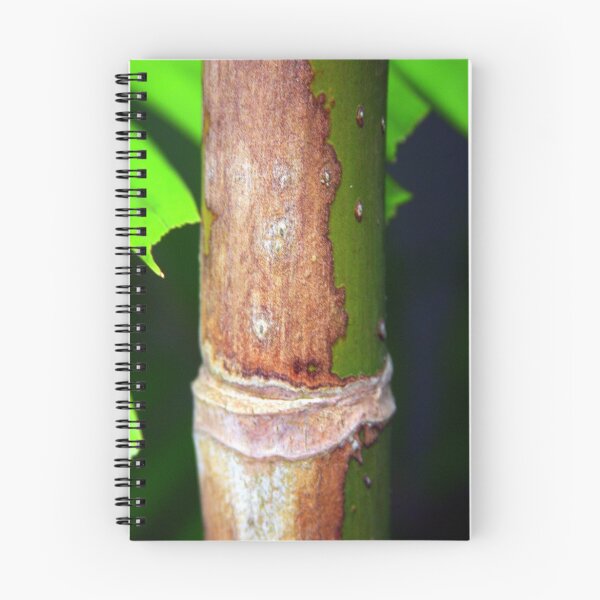 Artikelvorschau, Plant Joint entworfen und verkauft von Haydee Yordan.