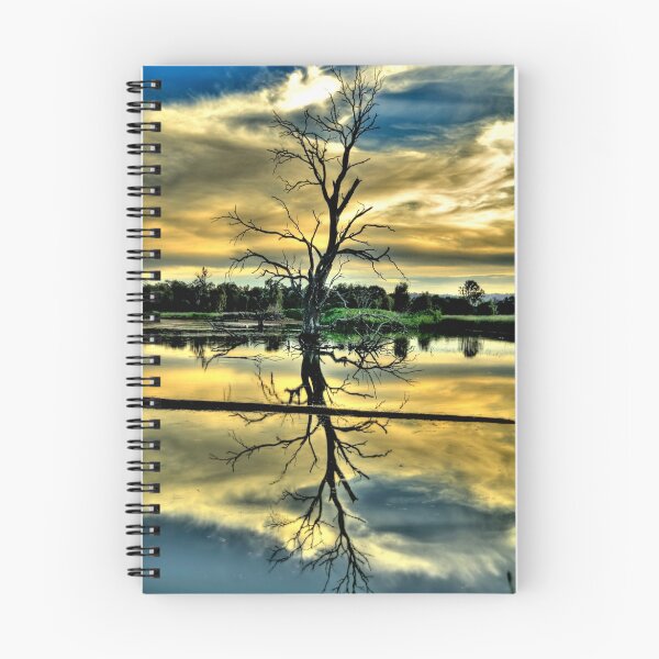 Item preview, Meditation - Wonga Wetlands , Albury NSW - The HDR Experience designed and sold by Salieri1627.