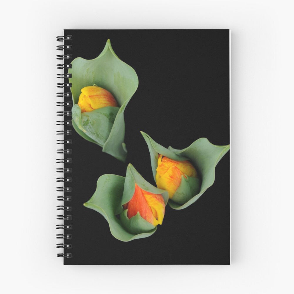 Item preview, Spiral Notebook designed and sold by Nance.