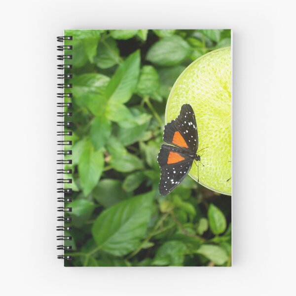 Item preview, Black and Orange designed and sold by BLAMB.