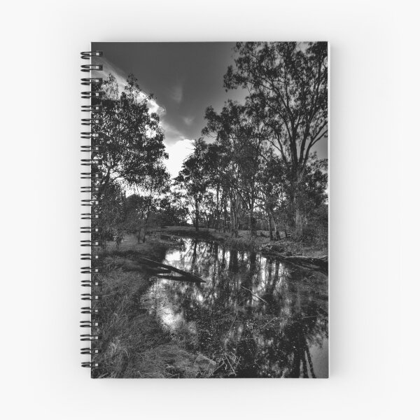 Item preview, Reflections In Black & White - Wonga Wetlands , Albury NSW - The HDR Experience designed and sold by Salieri1627.