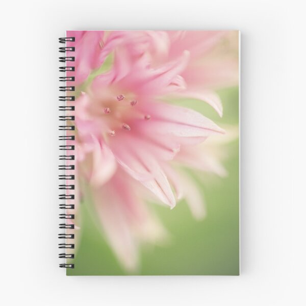 Item preview, Blooming Chives designed and sold by Moral.
