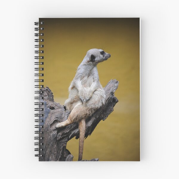 Item preview, The lookout designed and sold by BonnieH.