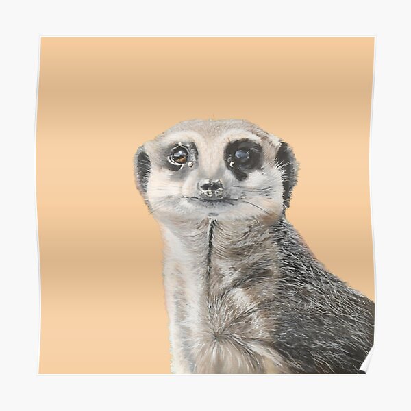 Maurice the cute Meerkat Poster