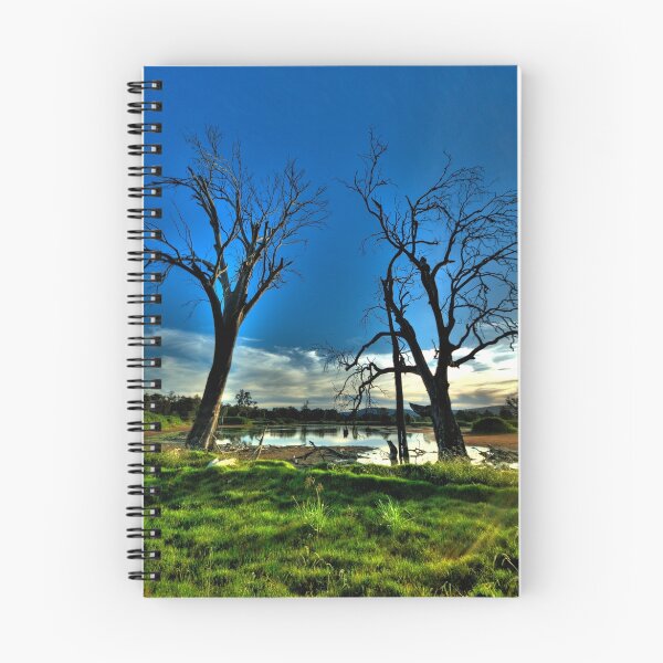 Item preview, Guardians #2 - Wonga Wetlands - The HDR Experience designed and sold by Salieri1627.