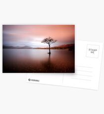 Milarrochy Bay, Loch Lomond Postcards