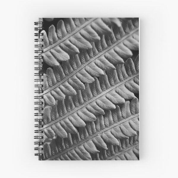 Aperçu de l'œuvre Fern Grey créée et vendue par Jeannette Sheehy.