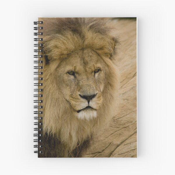 Item preview, Lion designed and sold by lurch.