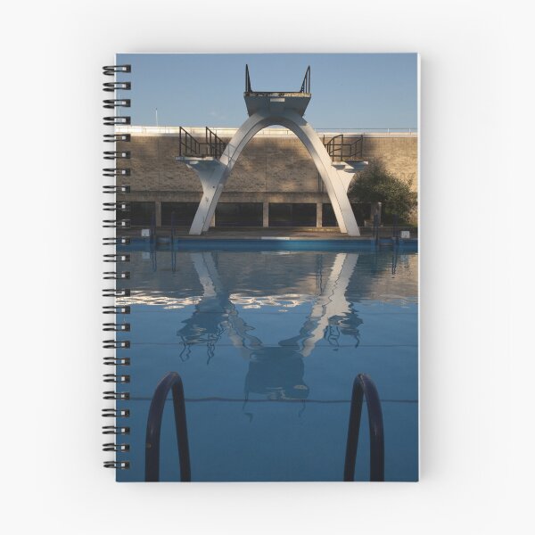 Item preview, The swimming pool designed and sold by Jeff  Wilson.