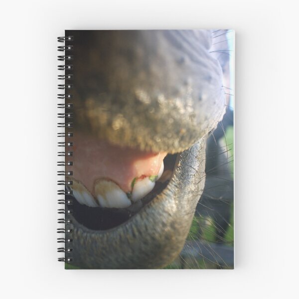 Item preview, Needs Dental Work Bad designed and sold by Polly Peacock.