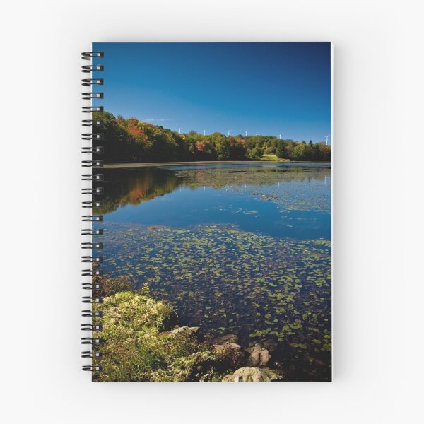 Aperçu de l'œuvre Cranberry Lake créée et vendue par Jennifer Eiford.