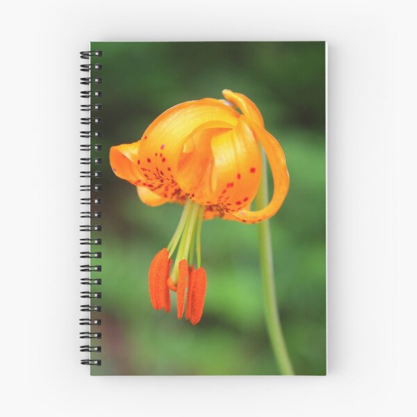 Item preview, Columbia Lilly designed and sold by Debbie Roelle.