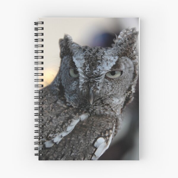 Item preview, screech owl designed and sold by Nance.