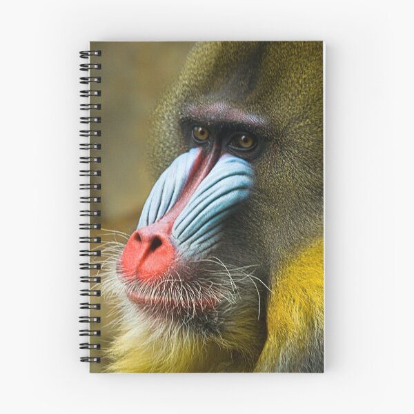 Item preview, Mandrill designed and sold by Wayne Harris.