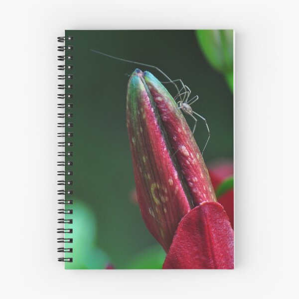 Item preview, Spider on a Lilly Bud designed and sold by mltrue.