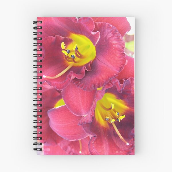 Item preview, Daylily Bunch designed and sold by wayatsagi.