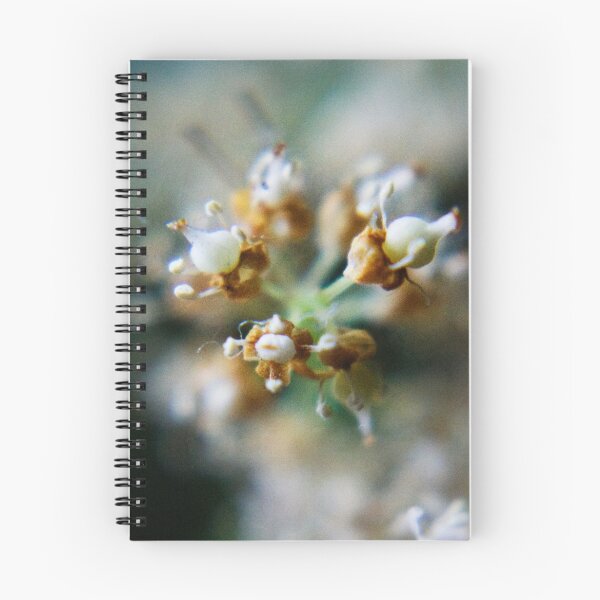 Item preview, After bloom... (from wild flowers collection) designed and sold by Antanas.