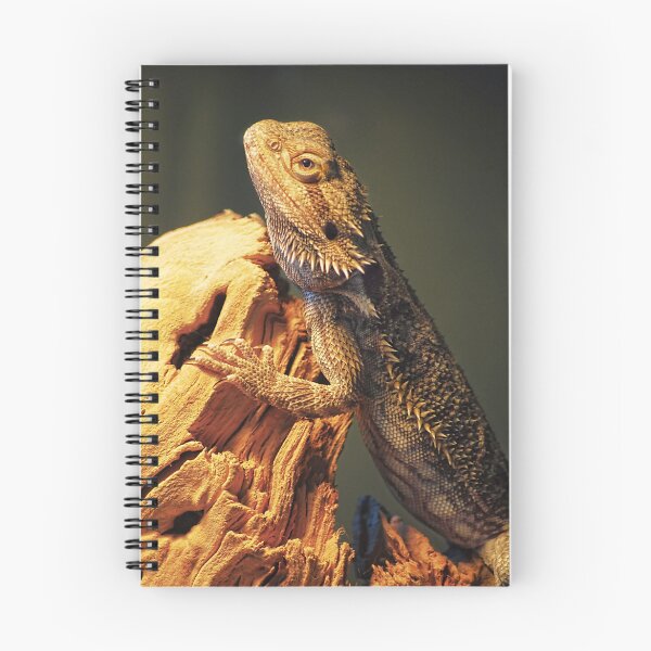 Item preview, Bearded Dragon designed and sold by Mariann Kovats.