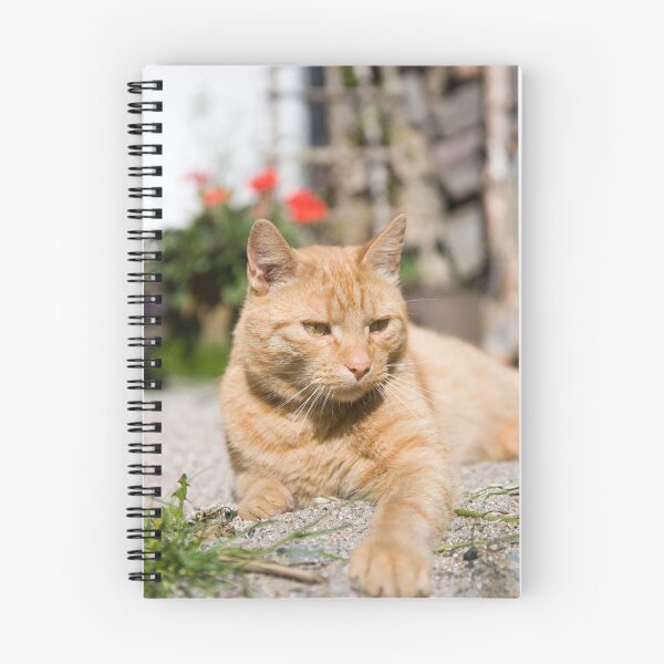 Item preview, Antoni..:) designed and sold by Kasia Fiszer.