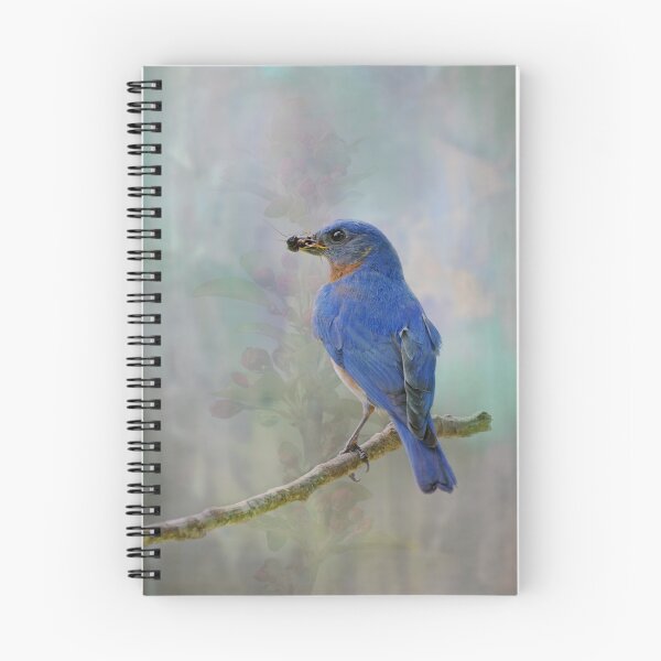 Item preview, My Friend, Mr. Bluebird designed and sold by Bonnie T.  Barry.