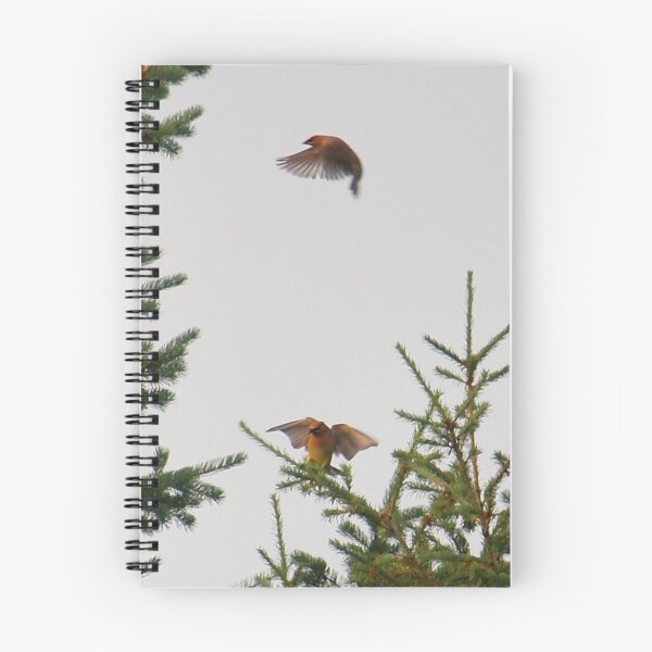 Item preview, Waxwings in Air. designed and sold by Melzo318.