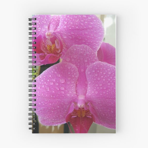 Item preview, orchid pink dew delight designed and sold by rudledge.