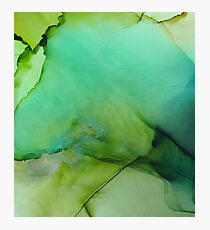 Moss Fluid Ink Photographic Print