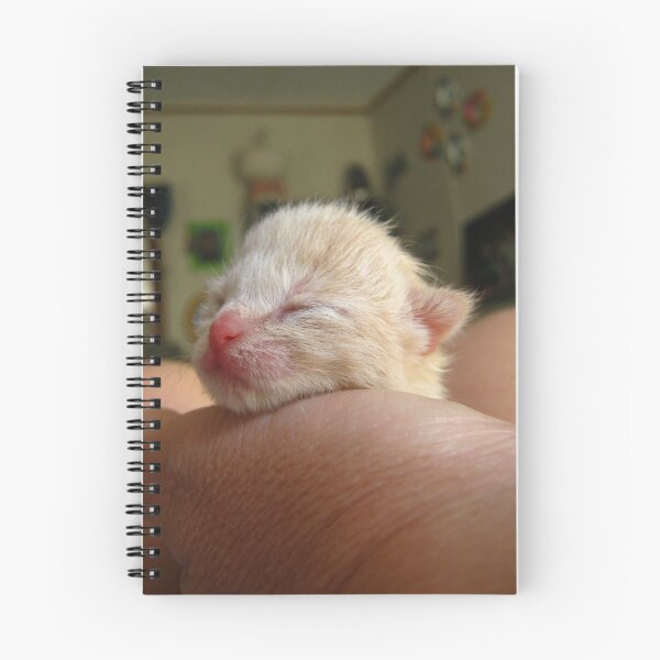 Item preview, tiny and sweet designed and sold by tomcat2170.