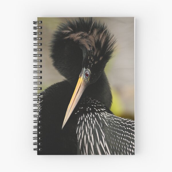 Item preview, Anhinga Agility designed and sold by WorldDesign.